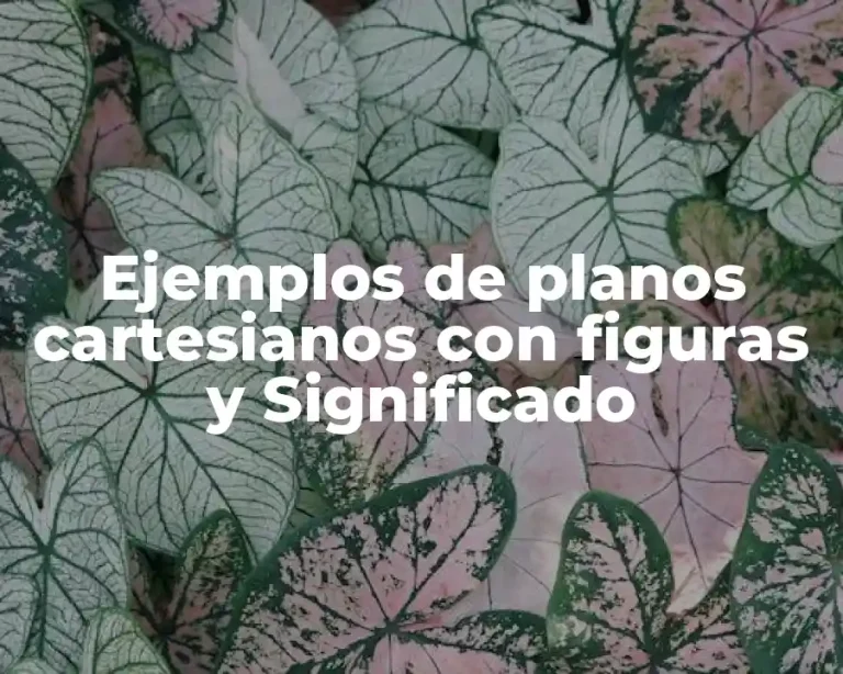 Ejemplos de planos cartesianos con figuras y Significado