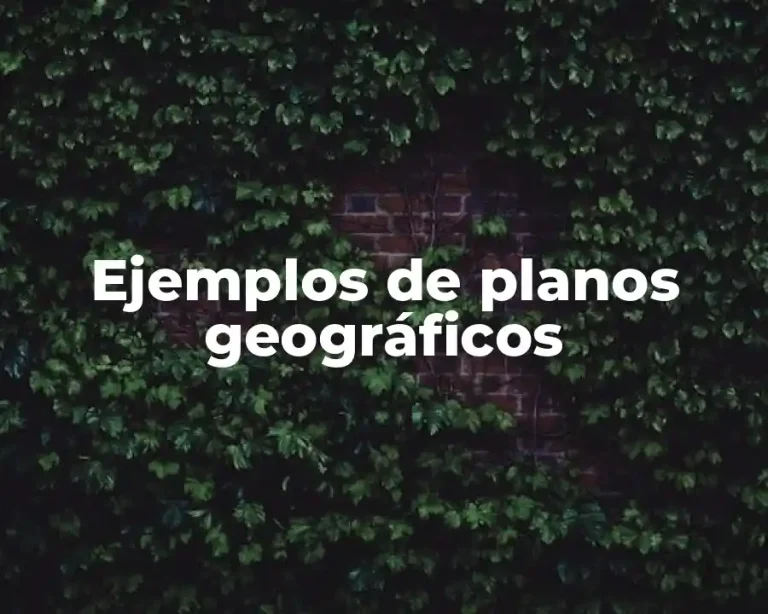Ejemplos de planos geográficos