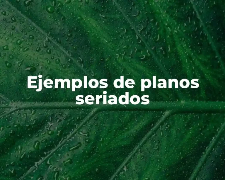 Ejemplos de planos seriados