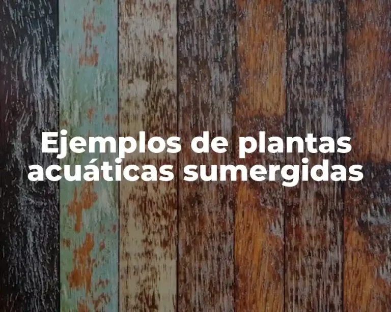 Ejemplos de plantas acuáticas sumergidas