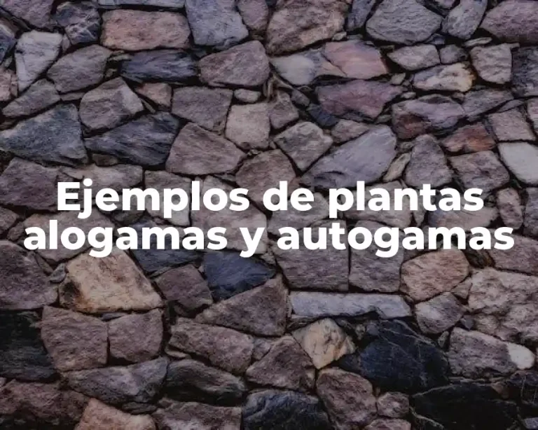 Ejemplos de plantas alogamas y autogamas