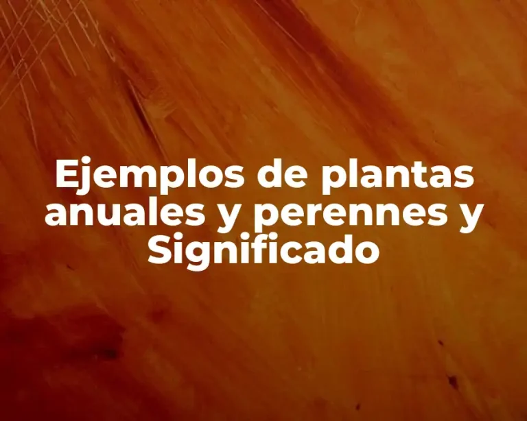 Ejemplos de plantas anuales y perennes y Significado