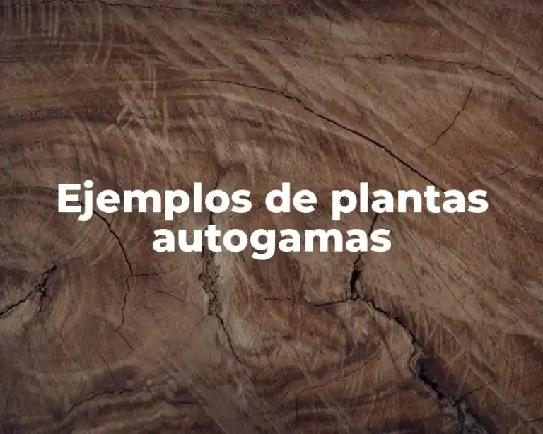 Ejemplos de plantas autogamas