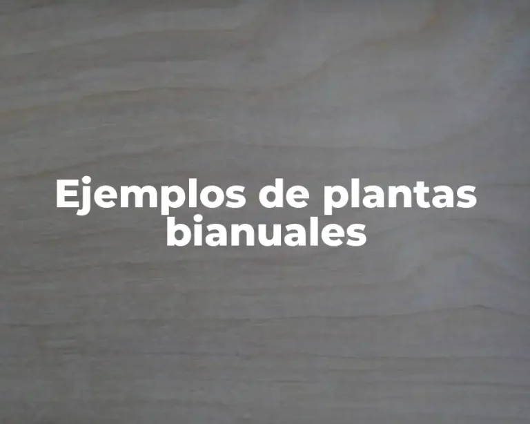 Ejemplos de plantas bianuales