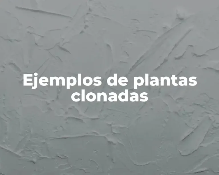 Ejemplos de plantas clonadas