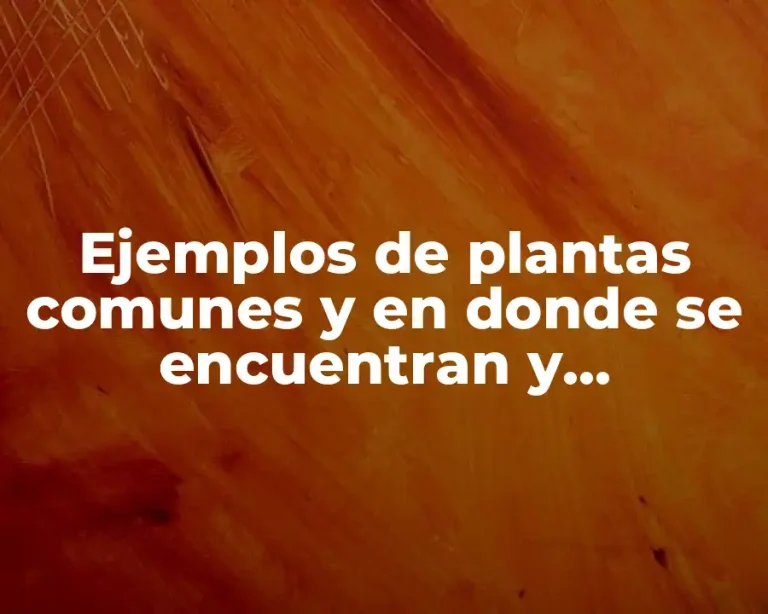 Ejemplos de plantas comunes y en donde se encuentran y Significado