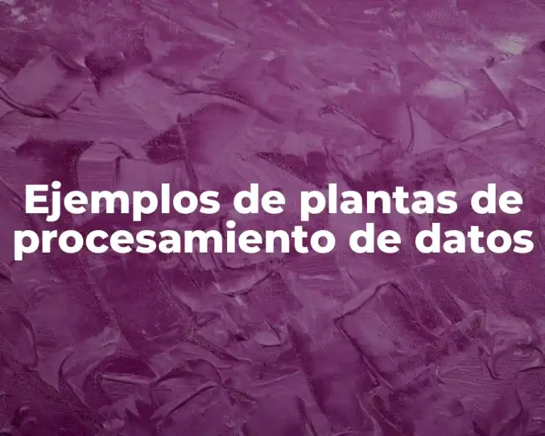 Ejemplos de plantas de procesamiento de datos
