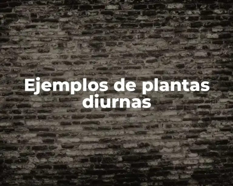 Ejemplos de plantas diurnas