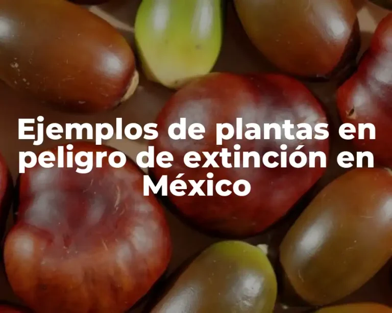 Ejemplos de plantas en peligro de extinción en México