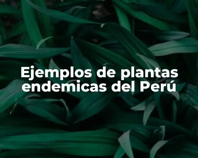 Ejemplos de plantas endemicas del Perú