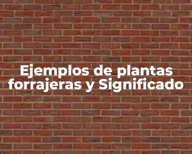 Ejemplos de plantas forrajeras y Significado