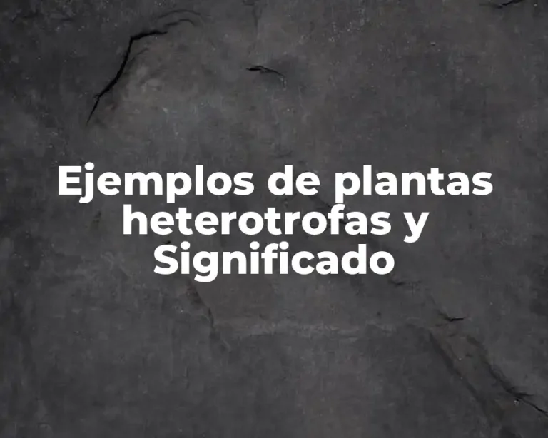 Ejemplos de plantas heterotrofas y Significado