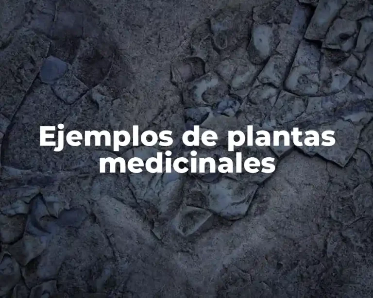 Ejemplos de plantas medicinales