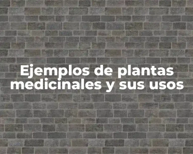 Ejemplos de plantas medicinales y sus usos