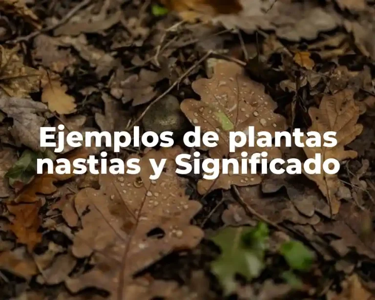Ejemplos de plantas nastias y Significado