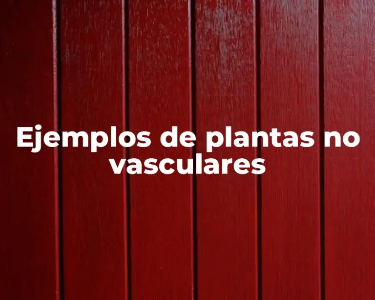 Ejemplos de plantas no vasculares