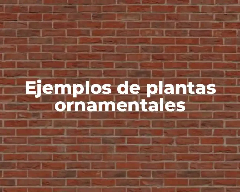Ejemplos de plantas ornamentales