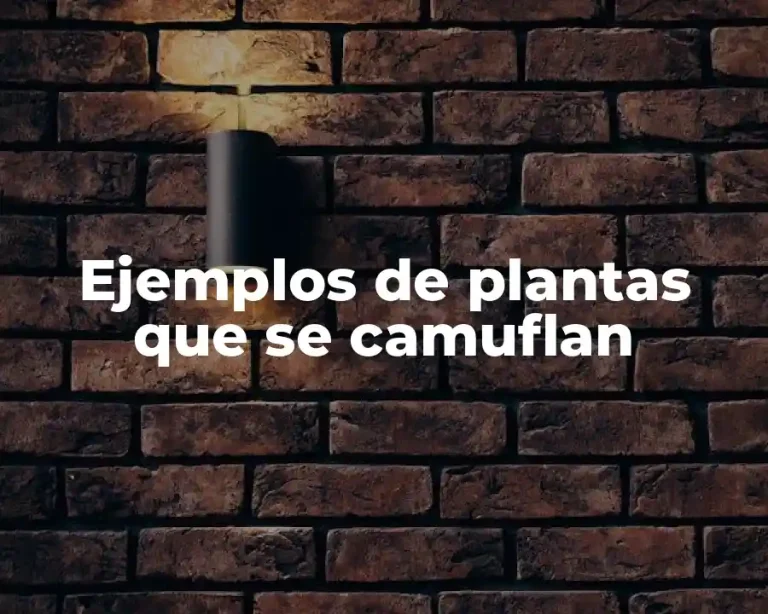 Ejemplos de plantas que se camuflan