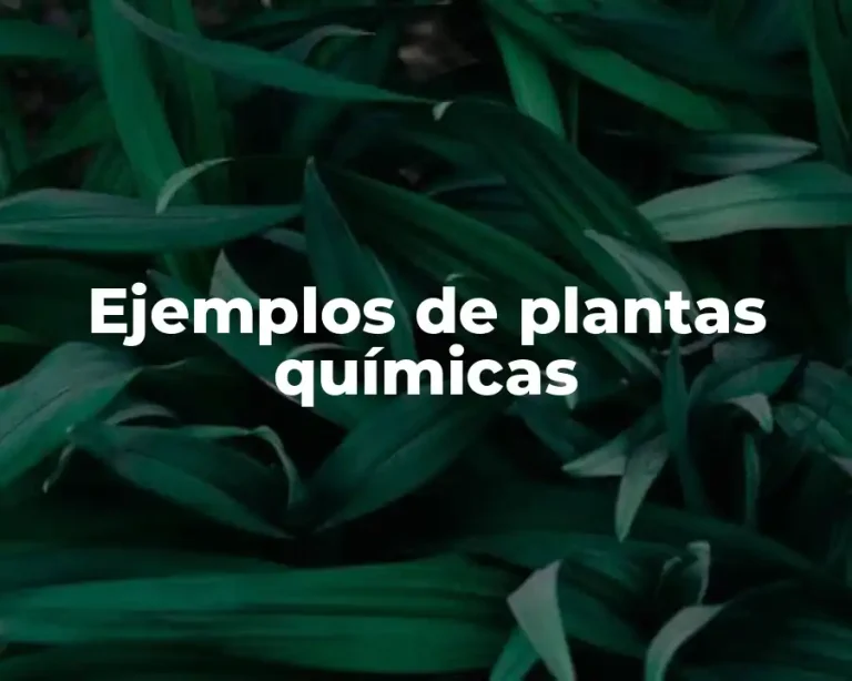 Ejemplos de plantas químicas