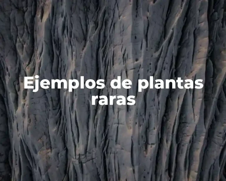 Ejemplos de plantas raras