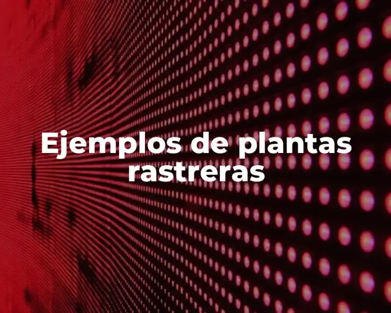 Ejemplos de plantas rastreras