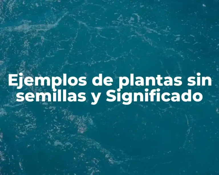 Ejemplos de plantas sin semillas y Significado