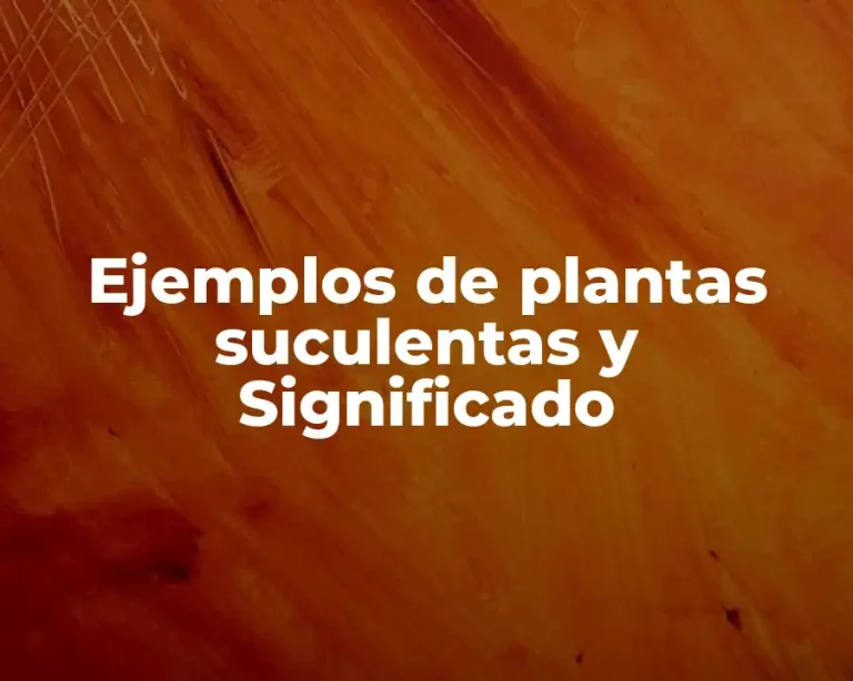Ejemplos de plantas suculentas y Significado