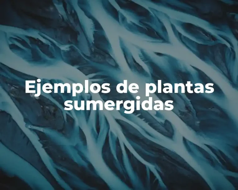 Ejemplos de plantas sumergidas