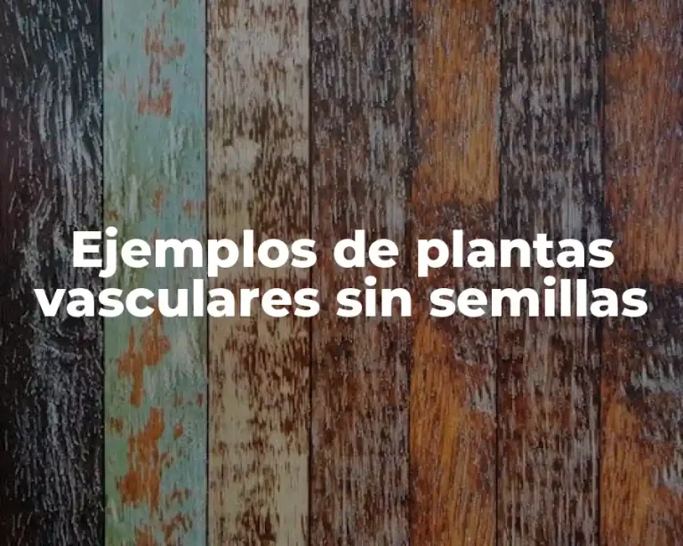 Ejemplos de plantas vasculares sin semillas