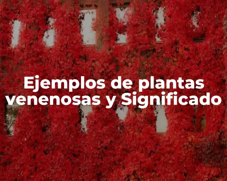 Ejemplos de plantas venenosas y Significado