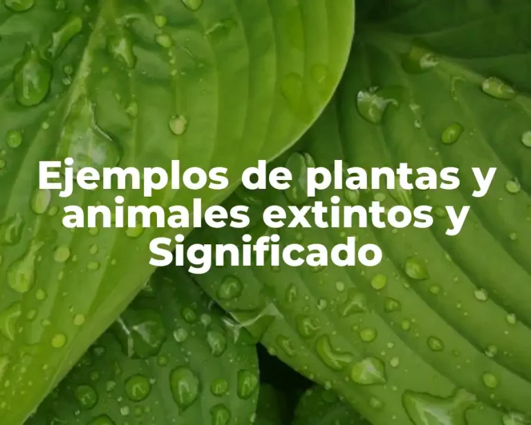 Ejemplos de plantas y animales extintos y Significado