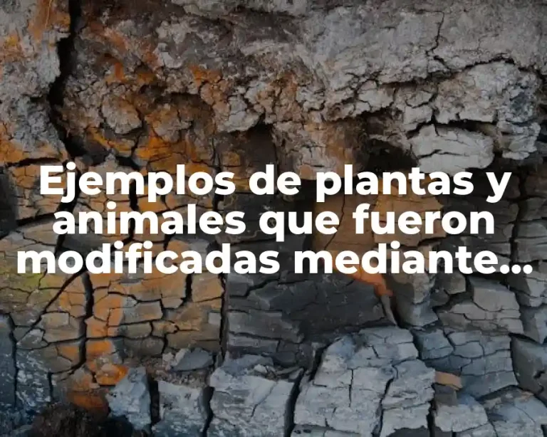 Ejemplos de plantas y animales que fueron modificadas mediante cruzas