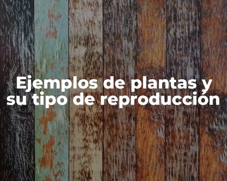 Ejemplos de plantas y su tipo de reproducción
