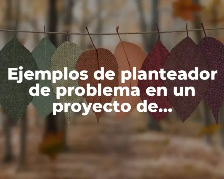 Ejemplos de planteador de problema en un proyecto de investigación y Significado