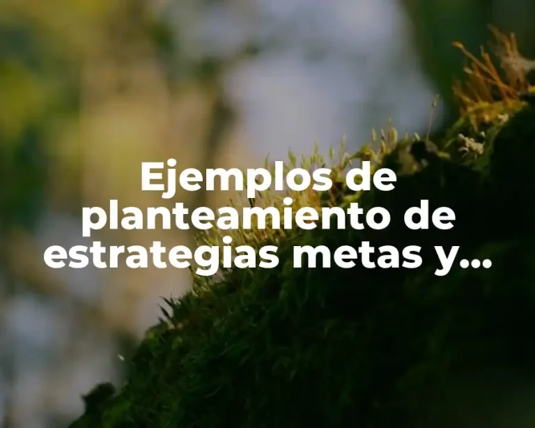 Ejemplos de planteamiento de estrategias metas y acciones en educación