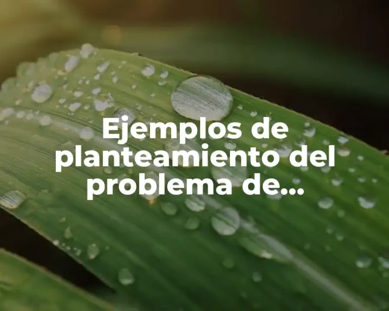 Ejemplos de planteamiento del problema de investigación cualitativa