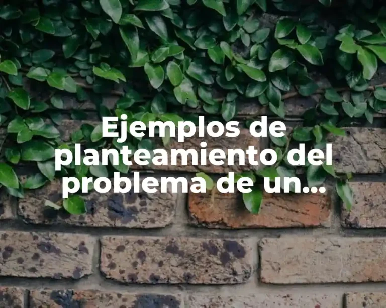 Ejemplos de planteamiento del problema de un proyecto comunitario