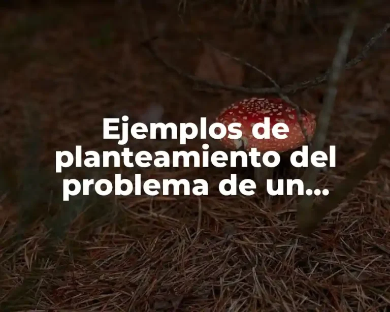 Ejemplos de planteamiento del problema de un proyecto empresarial