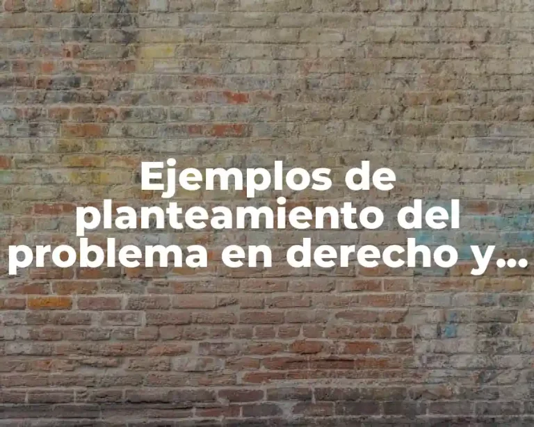 Ejemplos de planteamiento del problema en derecho y Significado