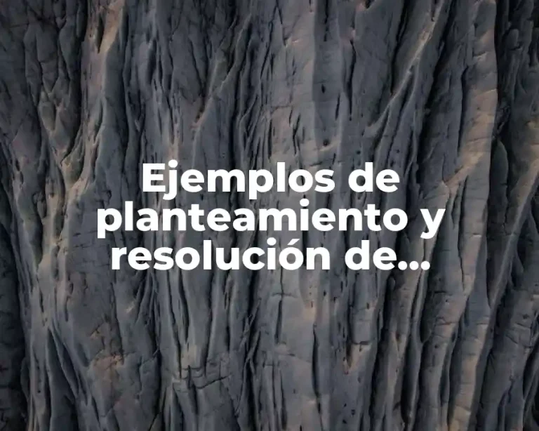 Ejemplos de planteamiento y resolución de problemas matemáticos