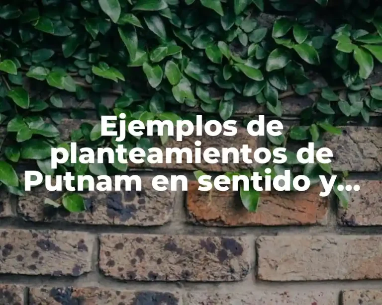 Ejemplos de planteamientos de Putnam en sentido y referencia