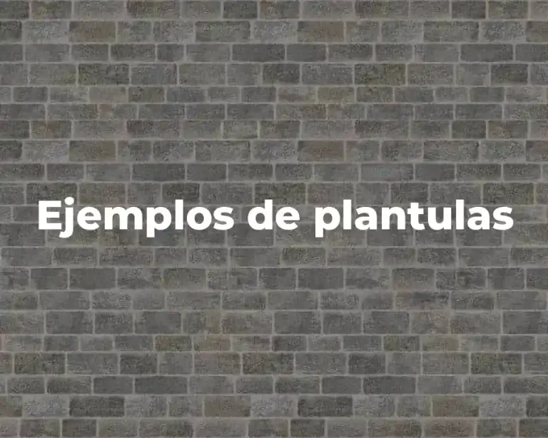 Ejemplos de plantulas