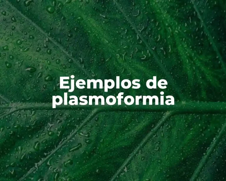 Ejemplos de plasmoformia