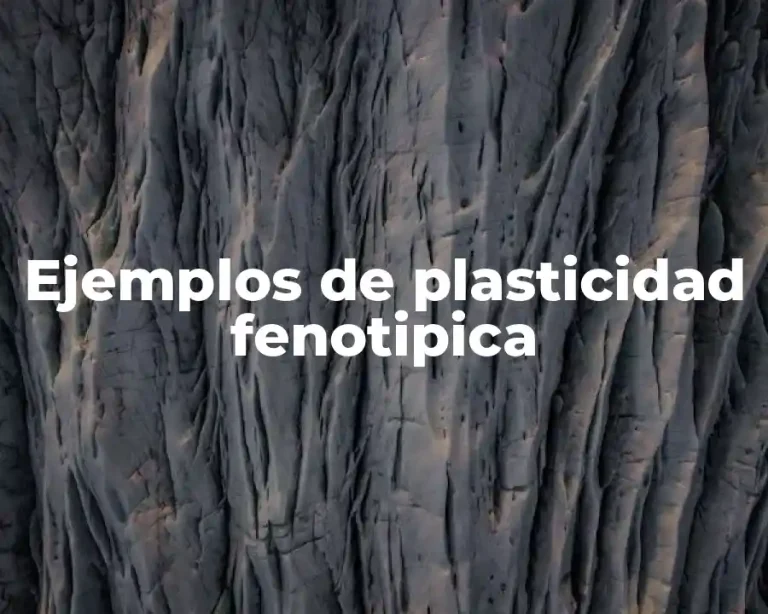 Ejemplos de plasticidad fenotipica