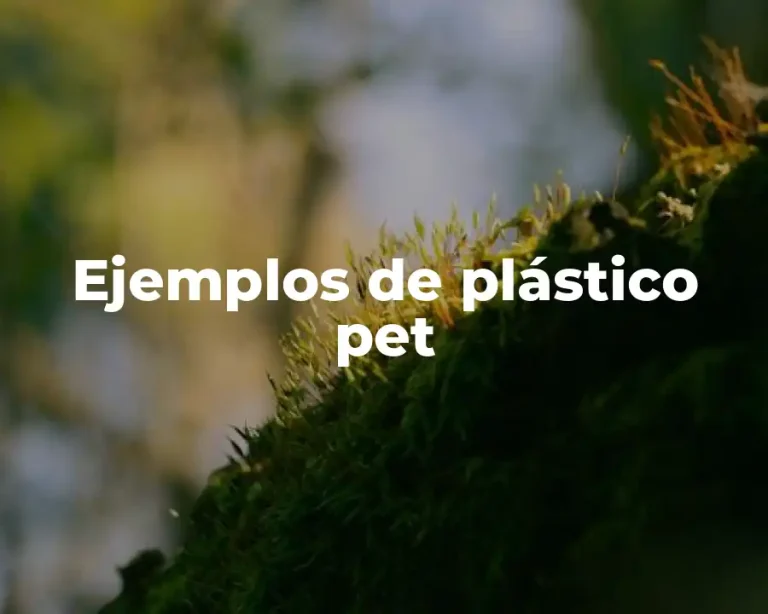 Ejemplos de plástico pet