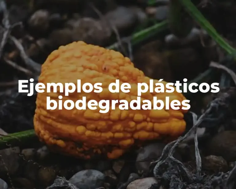 Ejemplos de plásticos biodegradables