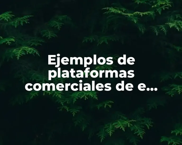 Ejemplos de plataformas comerciales de e learning