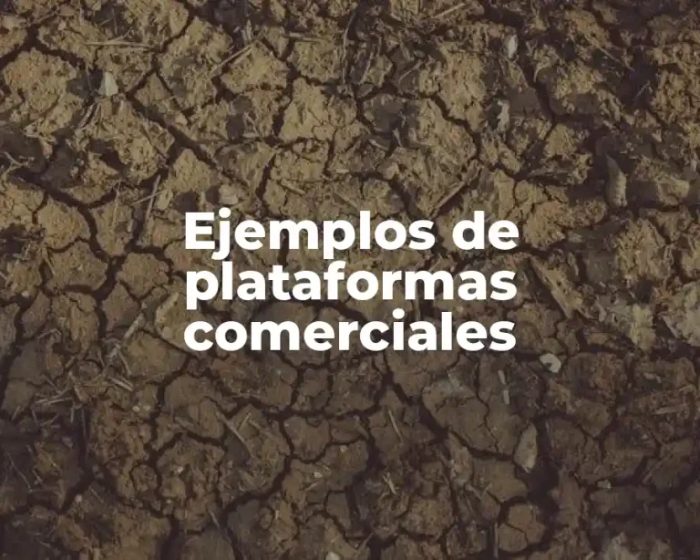 Ejemplos de plataformas comerciales