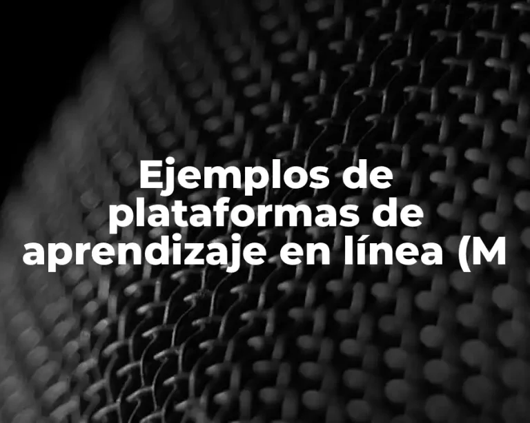 Ejemplos de plataformas de aprendizaje en línea (M