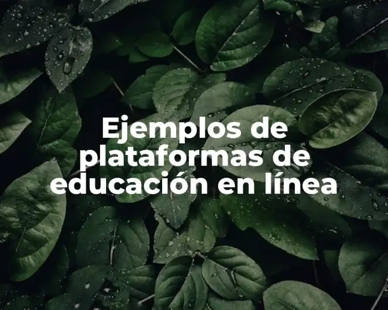 Ejemplos de plataformas de educación en línea